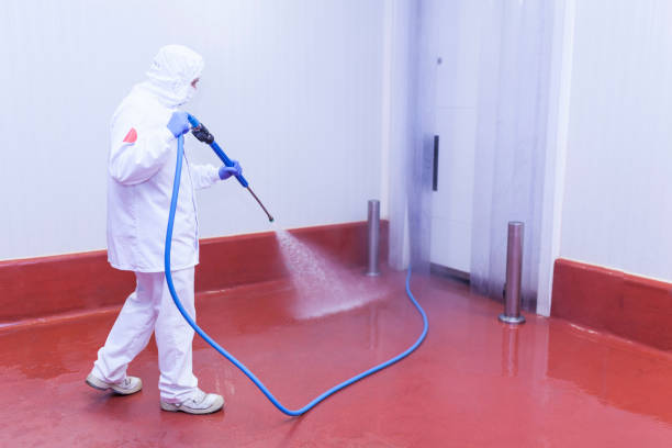 Best Patio and Deck Pressure Washing  in Mcgregor, TX